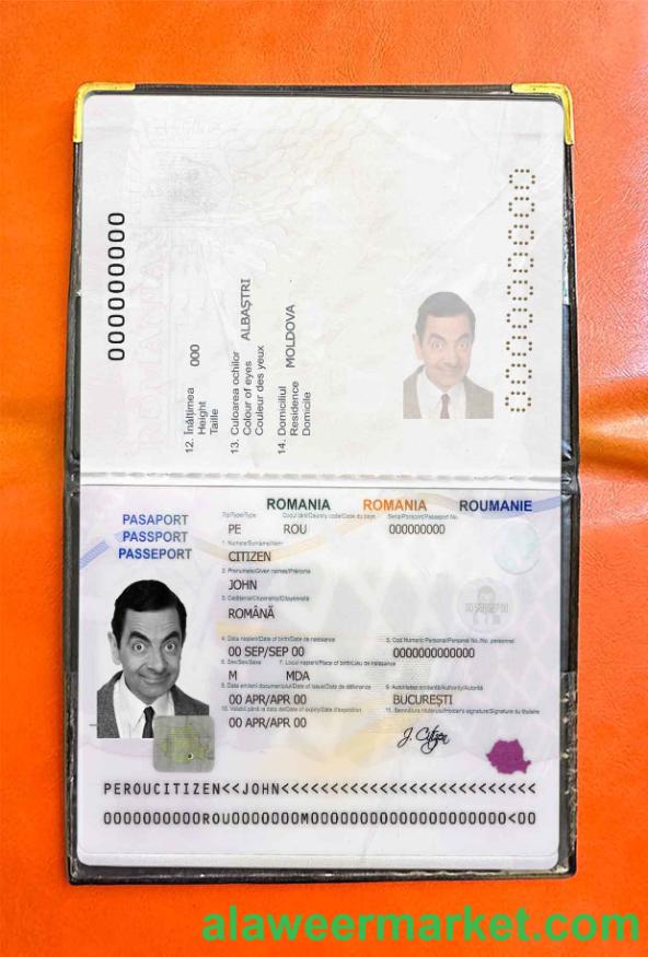 Romania passport photo look